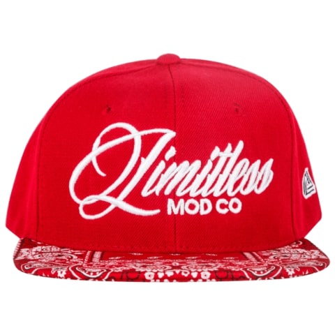 Snap Back Hats Mixed Brands